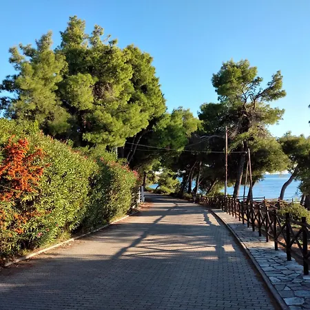 Отель Need Caravan At Sithonia, Halkidiki Неос-Мармарас