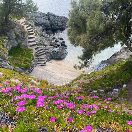 Need Caravan At Sithonia, Halkidiki * Neos Marmaras